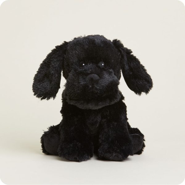 CP-LAB-B-Black-Lab-08