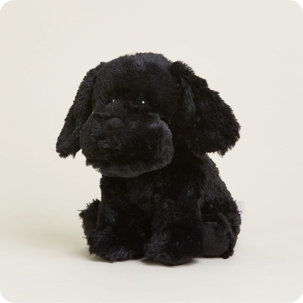 CP-LAB-B-Black-Lab-10