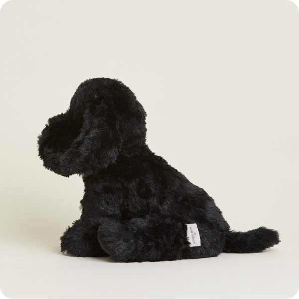 CP-LAB-B-Black-Lab-11