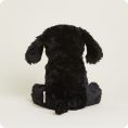 CP-LAB-B-Black-Lab-14