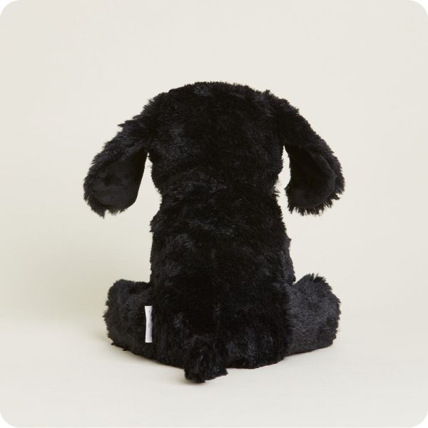 CP-LAB-B-Black-Lab-14