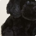 CP-LAB-B-Black-Lab-15
