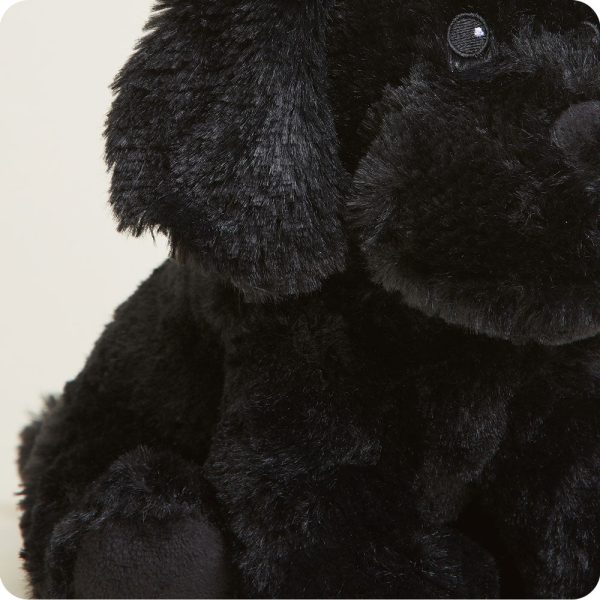 CP-LAB-B-Black-Lab-15