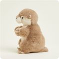 CP-OTT-1-Otter-02-Crop_5558b84b-0368-4351-b273-cbe2c4d68f1f