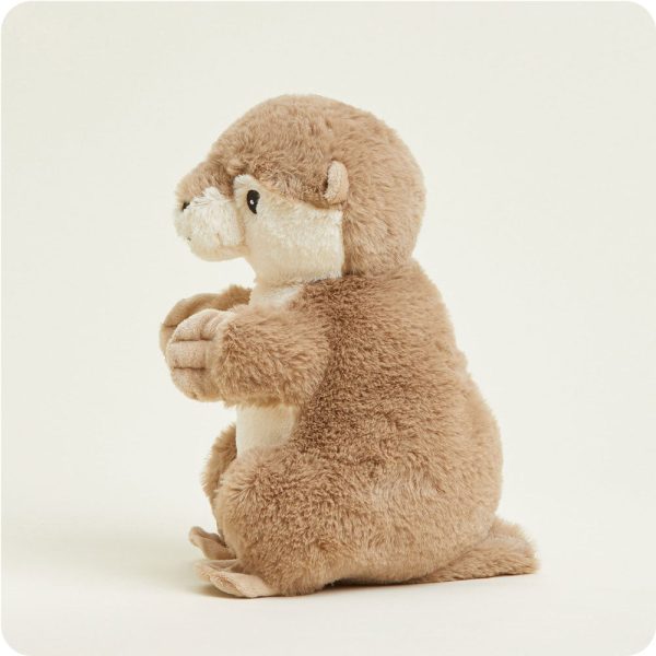 CP-OTT-1-Otter-02-Crop_5558b84b-0368-4351-b273-cbe2c4d68f1f