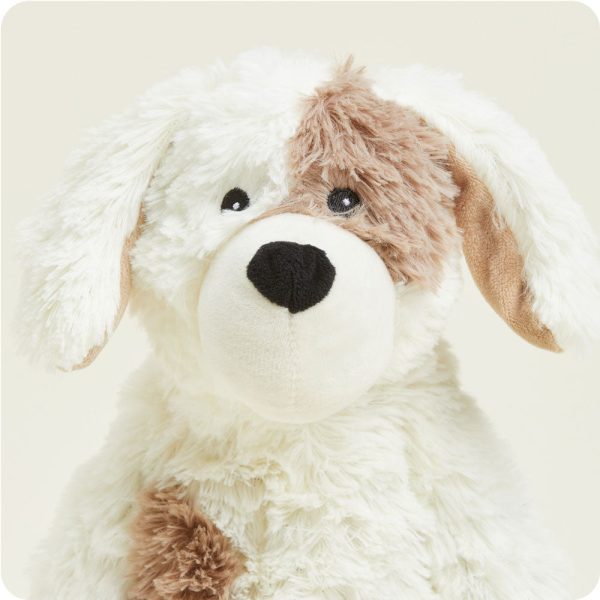 CP-PUP-2-Puppy-02_83392665-980c-40fe-9d07-481342ac4f9f