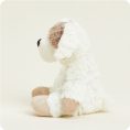 CP-PUP-2-Puppy-05_26e79438-a1ee-4175-8f96-5eb973d07425