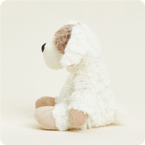 CP-PUP-2-Puppy-05_26e79438-a1ee-4175-8f96-5eb973d07425