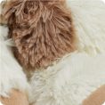 CP-PUP-2-Puppy-07_1d8703d2-3fd2-44de-abf1-dd4f7f44e231