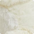 CP-SEA-2-Baby-Seal-05