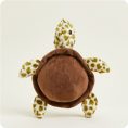 CP-TUR-1-Turtle-00-Crop_4cc21223-6052-4024-b96e-616917f48d01
