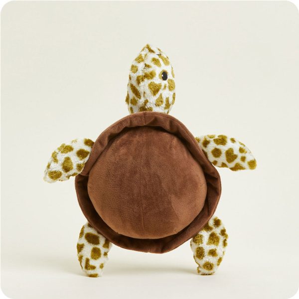 CP-TUR-1-Turtle-00-Crop_4cc21223-6052-4024-b96e-616917f48d01