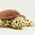 CP-TUR-1-Turtle-02_182dcfad-c511-46e5-bc0f-cb641db692cf