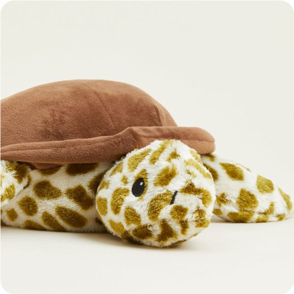 CP-TUR-1-Turtle-02_182dcfad-c511-46e5-bc0f-cb641db692cf