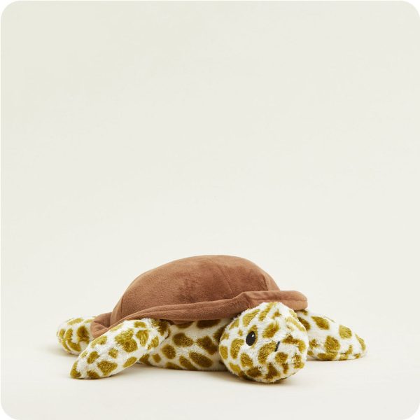CP-TUR-1-Turtle-03-Crop_22876df3-06f4-454d-a4bc-68386a370e45