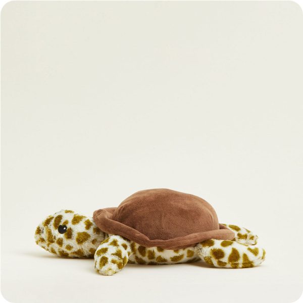 CP-TUR-1-Turtle-04-Crop_b0cb1f02-c088-4714-b22e-2be4f0eda6ec