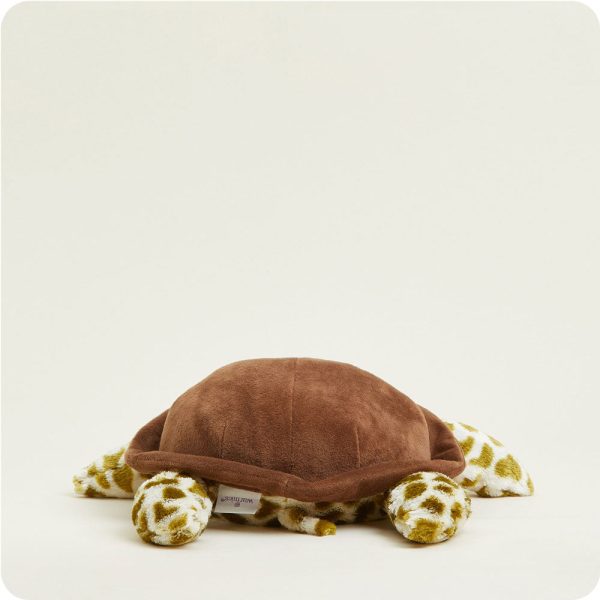 CP-TUR-1-Turtle-06-Crop_b4b549a2-1bc7-4212-8e9b-98ba3fa16194