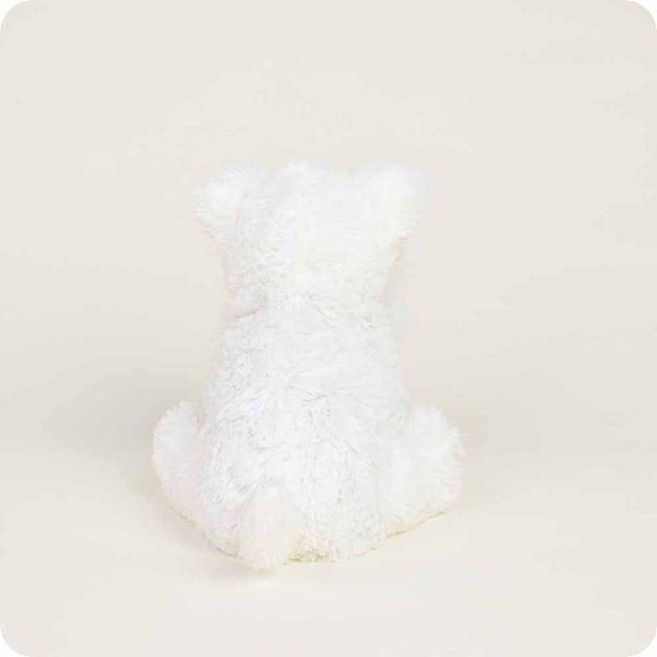 CP-WES-1-112