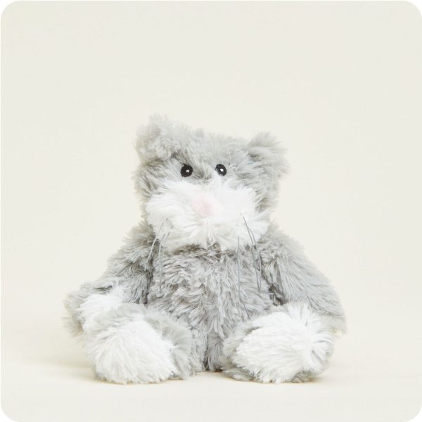 CPJ-CAT-1-Cat-Junior-Junior-1-Crop_b7f890a3-df9f-4628-9b2b-ae18635c4ff9
