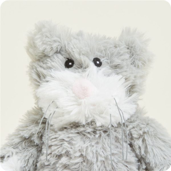 CPJ-CAT-1-Cat-Junior-Junior-2