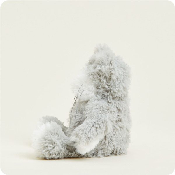 CPJ-CAT-1-Cat-Junior-Junior-3-Crop_f2f7615e-df21-4977-b73c-2c1c8aba6d22