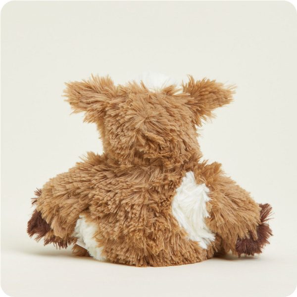 CPJ-COW-1-Cow-Junior-07-Crop_2d890bf6-d97b-49c0-bf8b-b7ac8827953a
