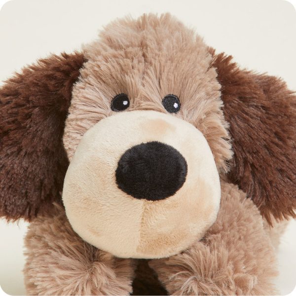 CPJ-DOG-1-Brown-Dog-Junior-02-1