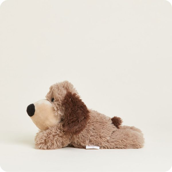 CPJ-DOG-1-Brown-Dog-Junior-05
