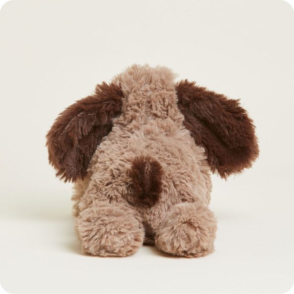 CPJ-DOG-1-Brown-Dog-Junior-06