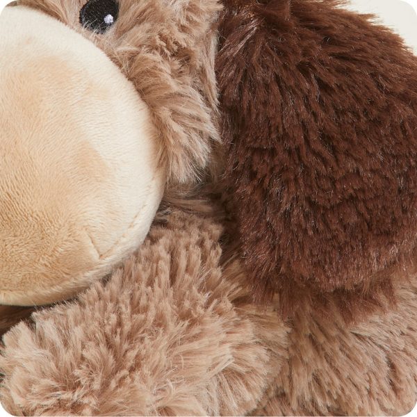 CPJ-DOG-1-Brown-Dog-Junior-07