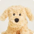 CPJ-DOG-3-Golden-Dog-Junior-03-1