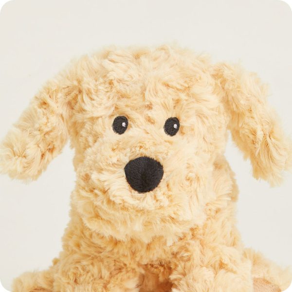 CPJ-DOG-3-Golden-Dog-Junior-03-1