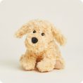 CPJ-DOG-3-Golden-Dog-Junior-07
