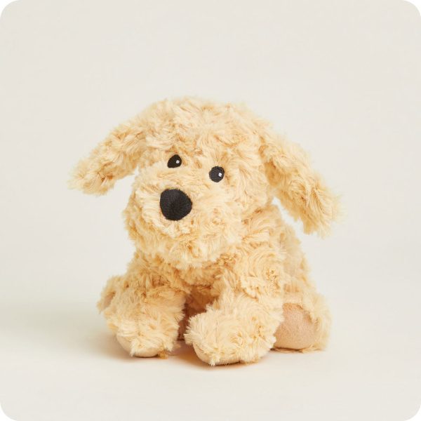 CPJ-DOG-3-Golden-Dog-Junior-07