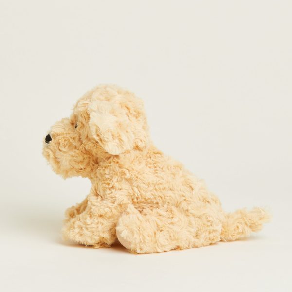 CPJ-DOG-3-Golden-Dog-Junior-08
