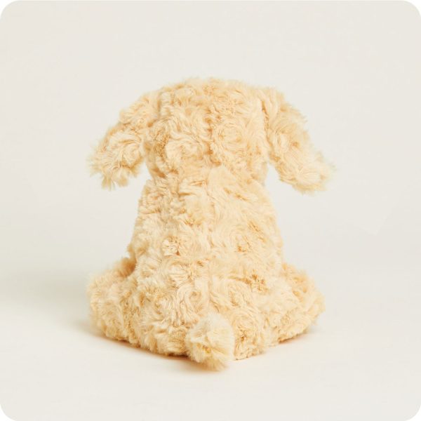 CPJ-DOG-3-Golden-Dog-Junior-09