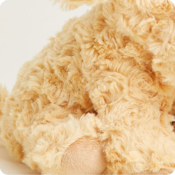CPJ-DOG-3-Golden-Dog-Junior-10