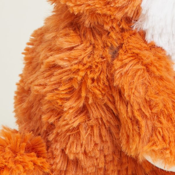 CPJ-FOX-1-Fox-Junior-18