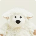 CPJ-SHE-1-Sheep-Junior-01