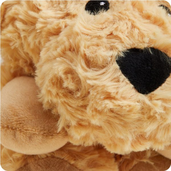 CPW-DOG-3-Golden-Dog-Wrap-03_528f9293-afa8-4869-96cf-7ce984e9bfc2