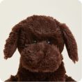 Dark-Brown-Dog2148