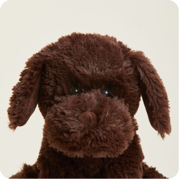 Dark-Brown-Dog2148