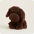 Dark-Brown-Dog2149