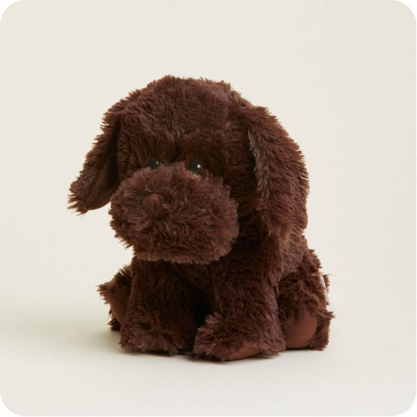 Dark-Brown-Dog2149
