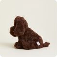 Dark-Brown-Dog2152