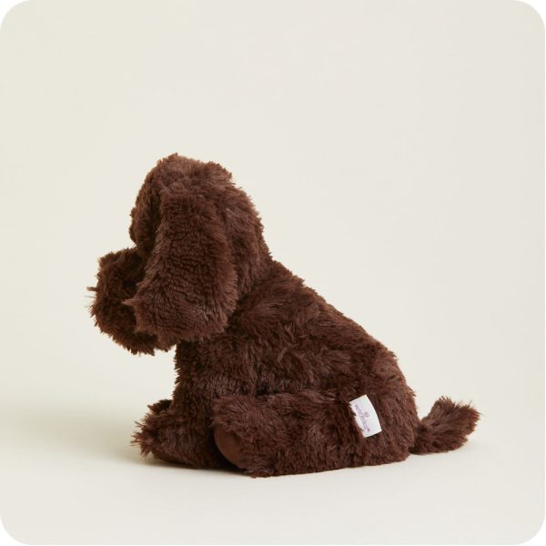 Dark-Brown-Dog2152