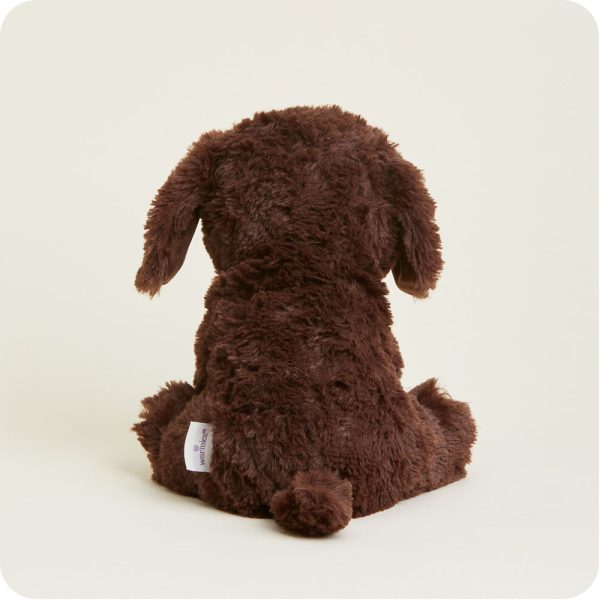 Dark-Brown-Dog2153