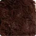 Dark-Brown-Dog2155