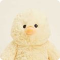 Duck-0027-1