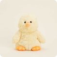 Duck-0027